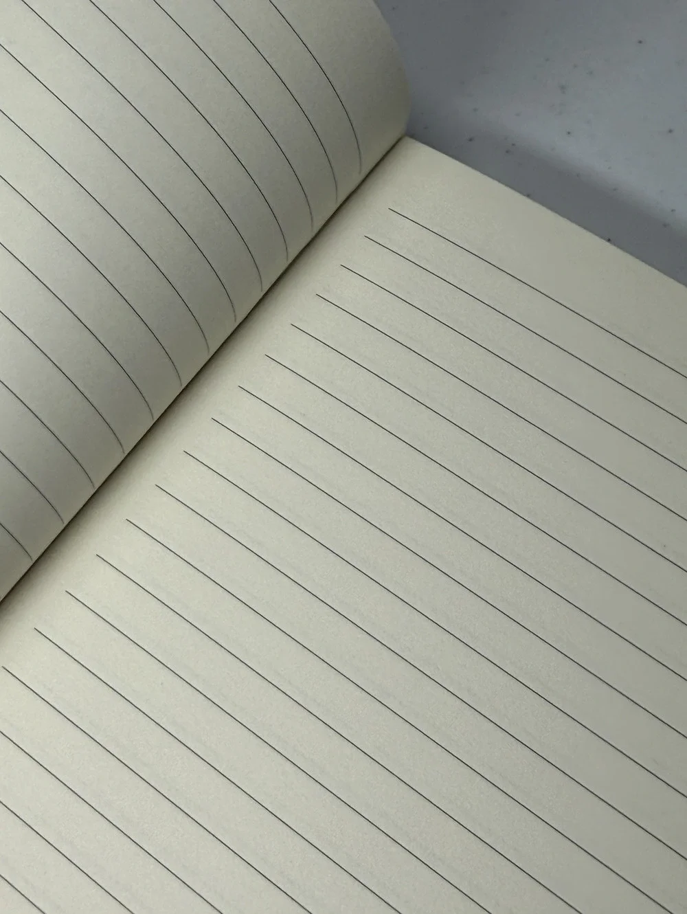 Fashion Journals Lined Notebooks Lot of 2 Small & Medium Decorative New A5 A6